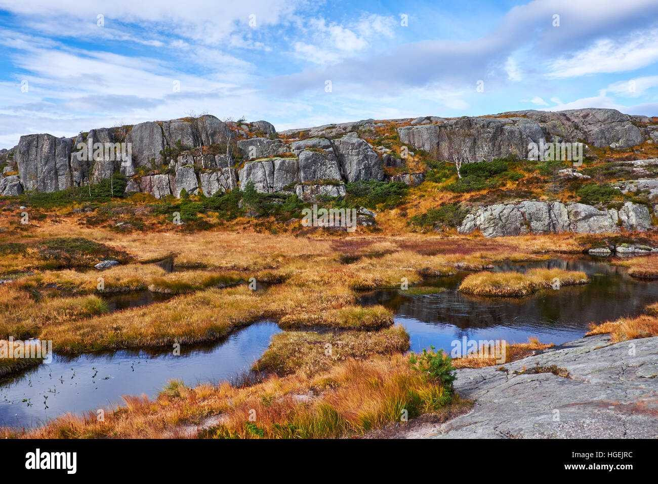 Zona umida con acqua floating tra ruvida giallo erba, sulla cima della montagna sulla strada per il pulpito di roccia in Norvegia Foto Stock