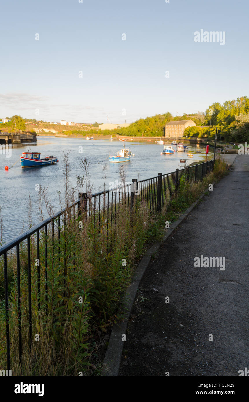 Vista guardando verso est lungo il fiume usura da sotto la regina Alexandra bridge, Sunderland Foto Stock