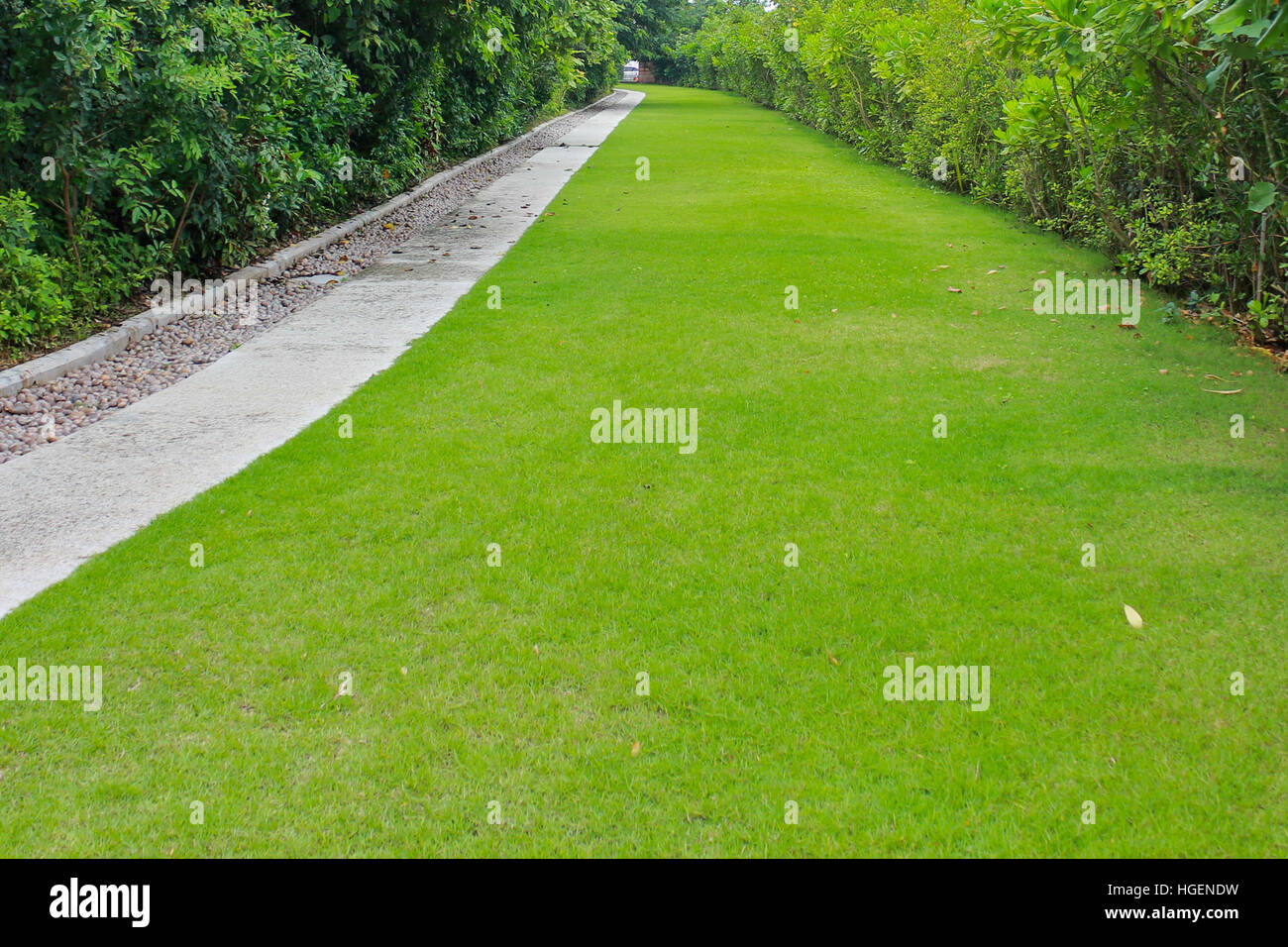 Blocco di pietra percorso a piedi nel parco con prato verde sullo sfondo Foto Stock