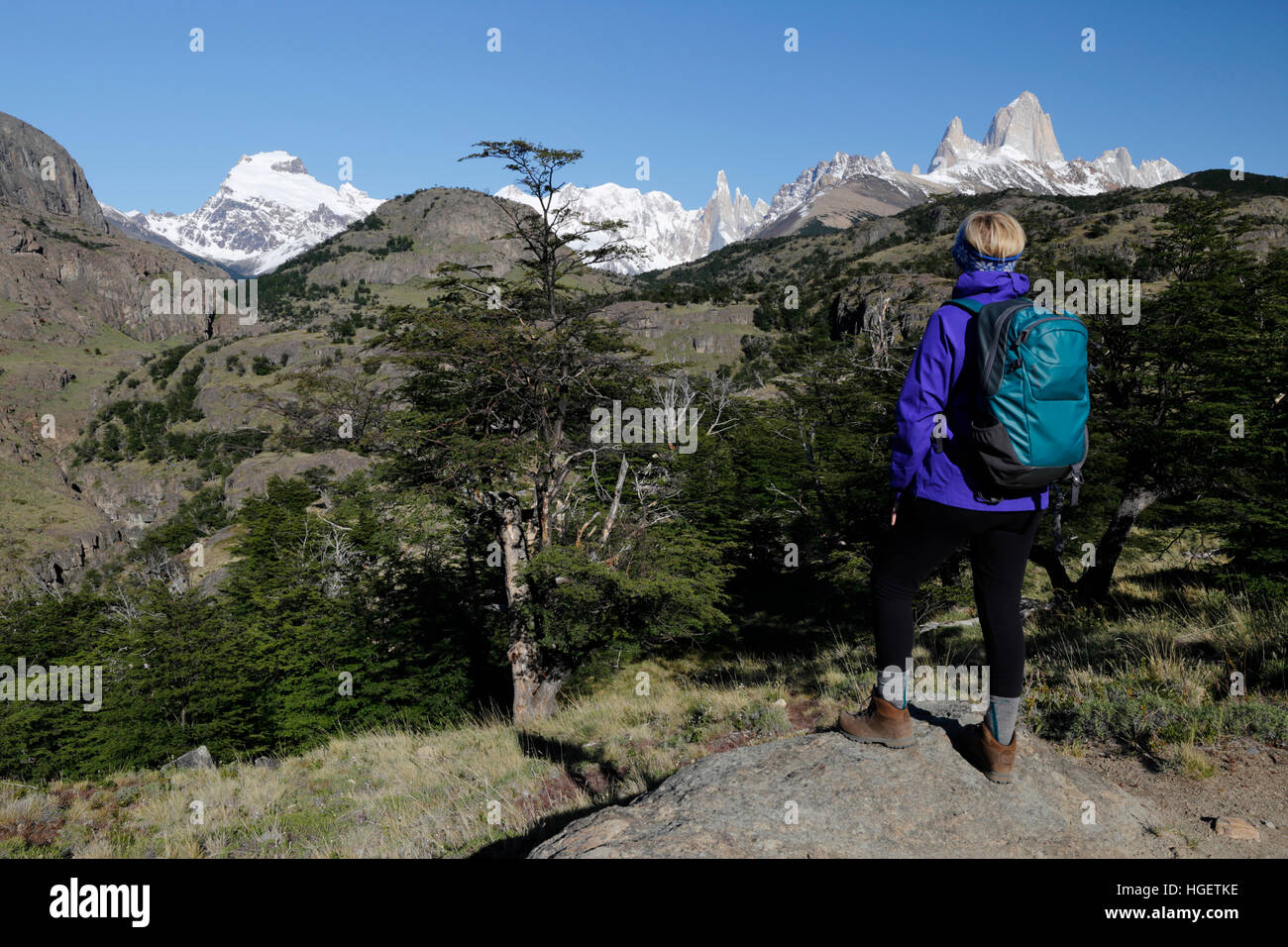 Vista del Monte Fitz Roy e Cerro Torre, El Chalten, Patagonia, Argentina, Sud America Foto Stock