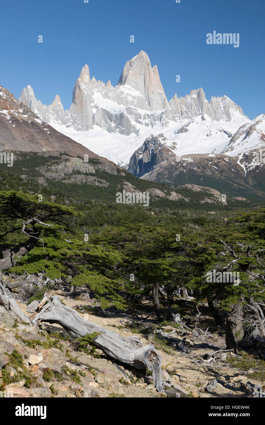 Vista del Monte Fitz Roy sulla Laguna de los Tres trail, El Chalten, Patagonia, Argentina, Sud America Foto Stock