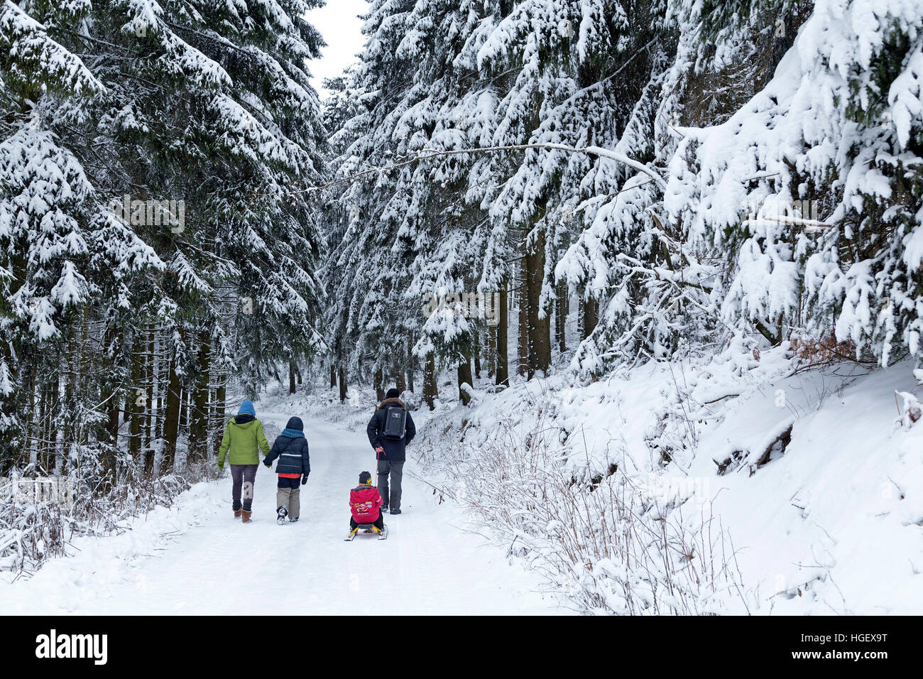 Famiglia camminare vicino a Neuenkleusheim, Sauerland, Renania Settentrionale - Westfalia, Germania Foto Stock
