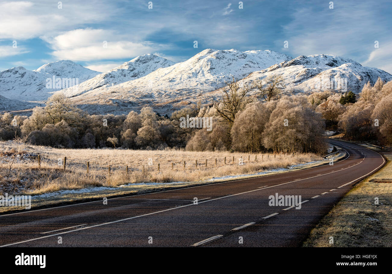 La brina su alberi ed erba sulla strada di Mallaig, Scozia Foto Stock