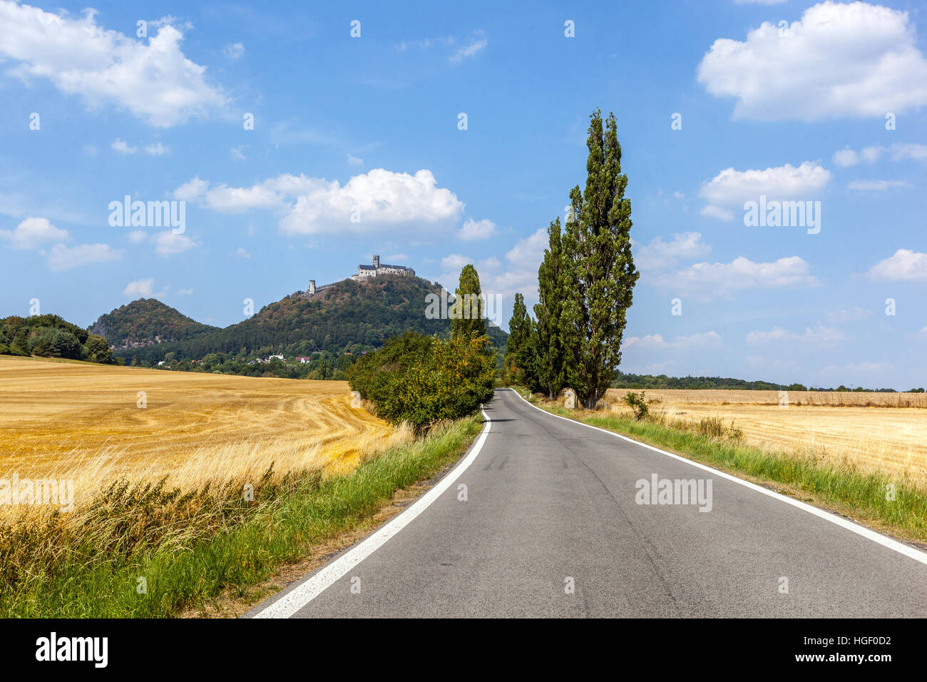 Paesaggio estivo e strada che conduce al castello gotico boemo di Bezdez, paesaggio ceco Repubblica Ceca Foto Stock