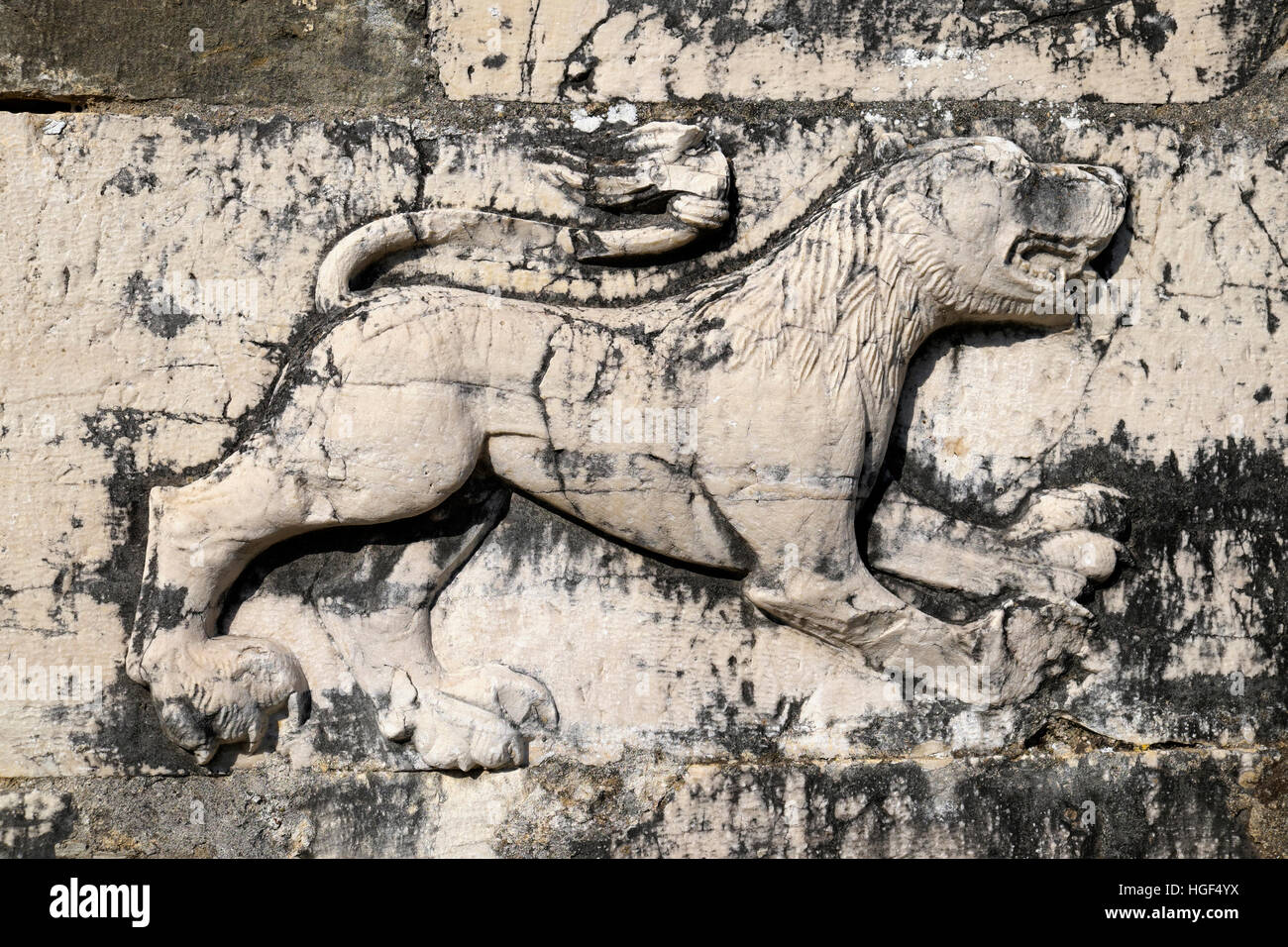 Rilievo di un Lion su rovine di San Nicola chiesa del monastero, Mesopotam, Valona, Albania Foto Stock