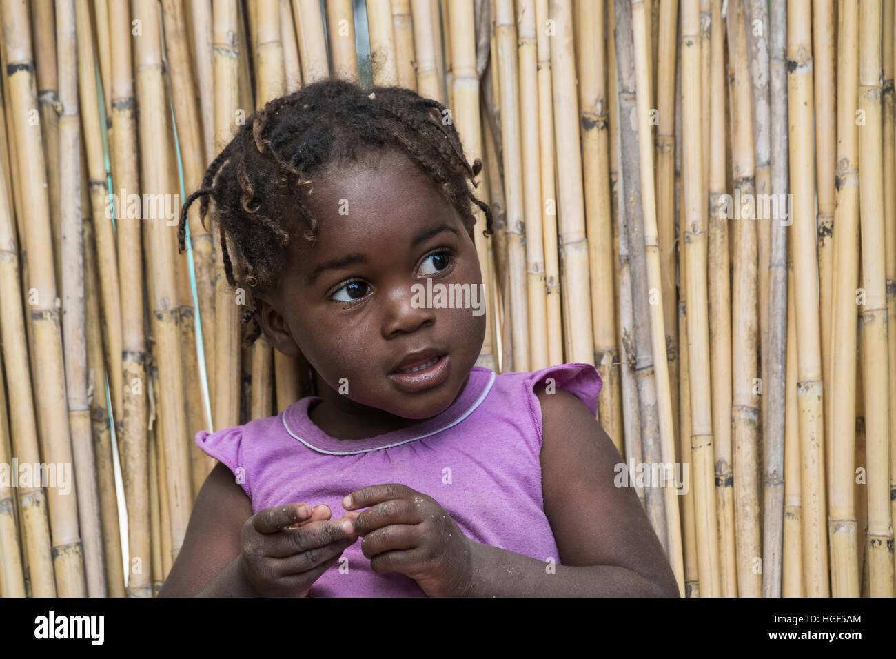 Giovane ragazza africana con trecce, Botswana, Namibia Foto Stock
