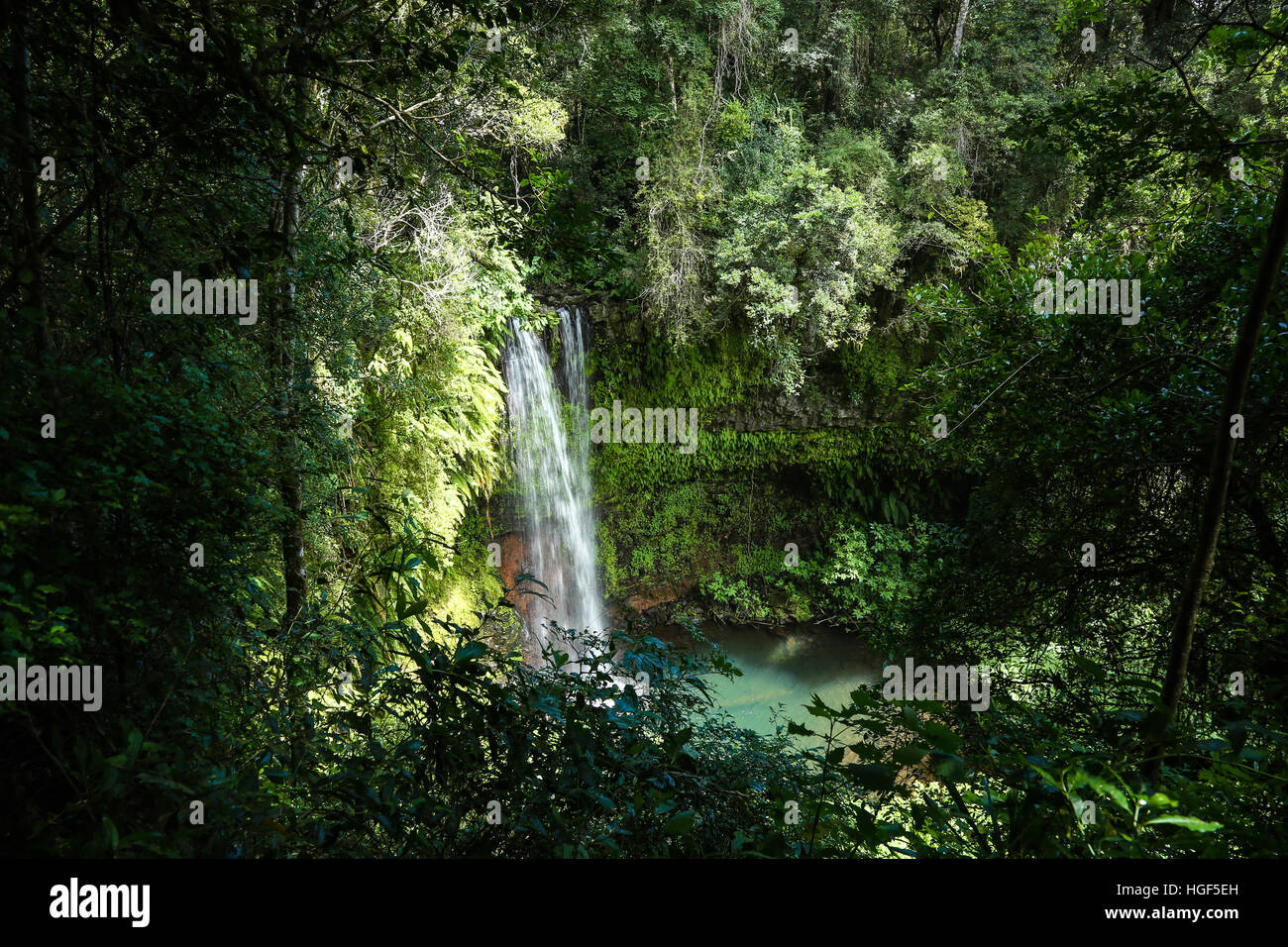 Cascata in ambra Mountain National Park, Madagascar Foto Stock