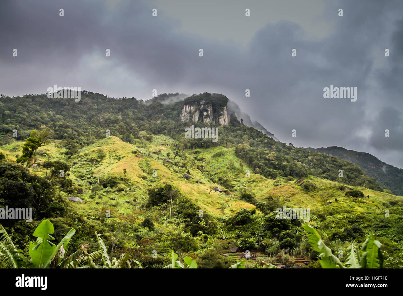 Incredibile paesaggio tropicale del Madagascar highlands Foto Stock