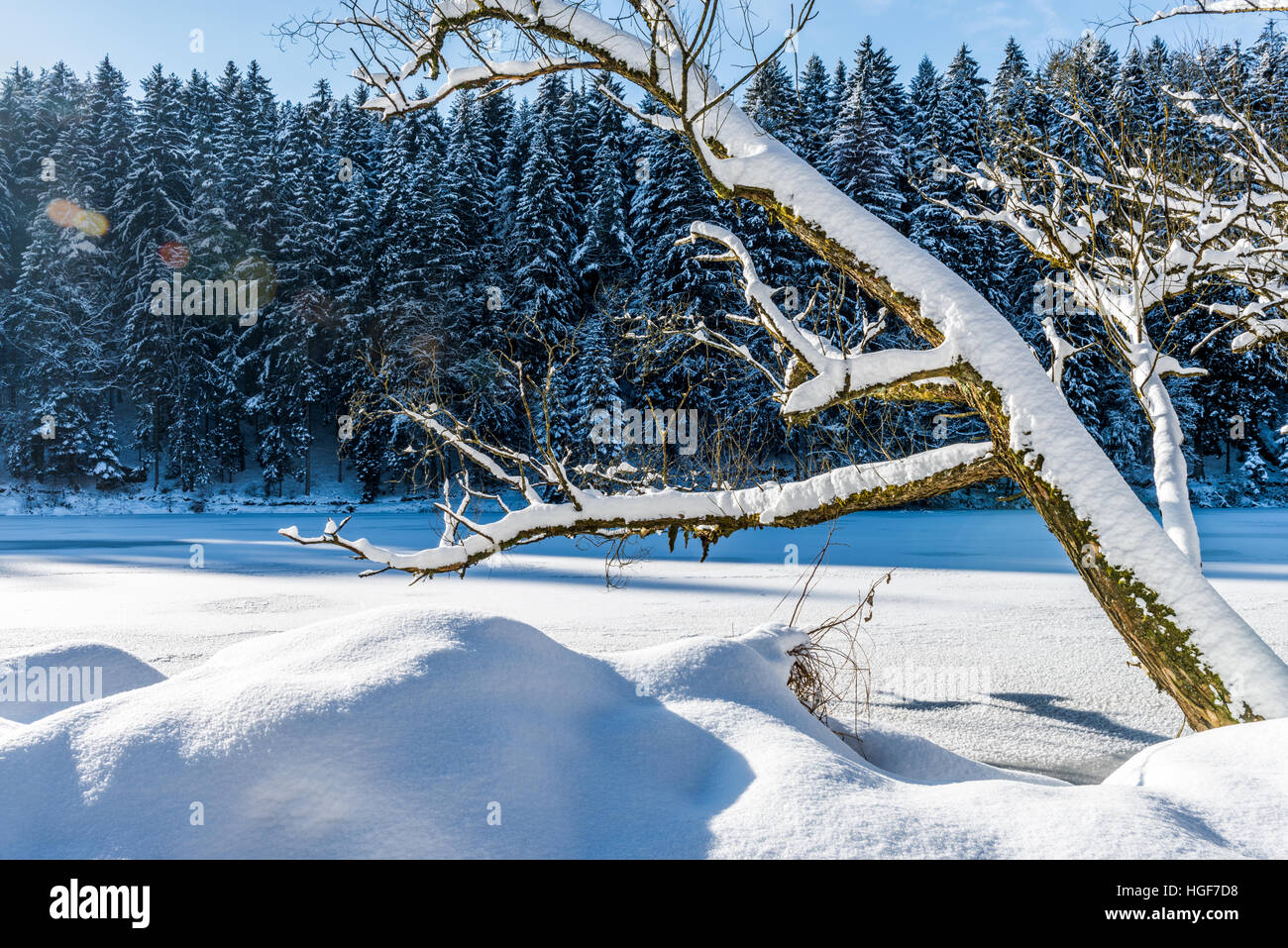 Inverno stufato fiume Baviera scena Foto Stock