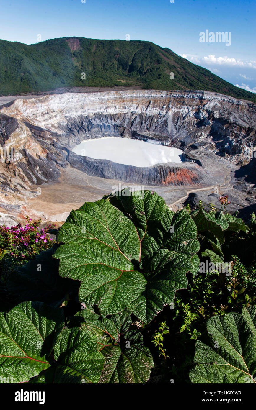 Vulcano Poas, Costa Rica Foto Stock