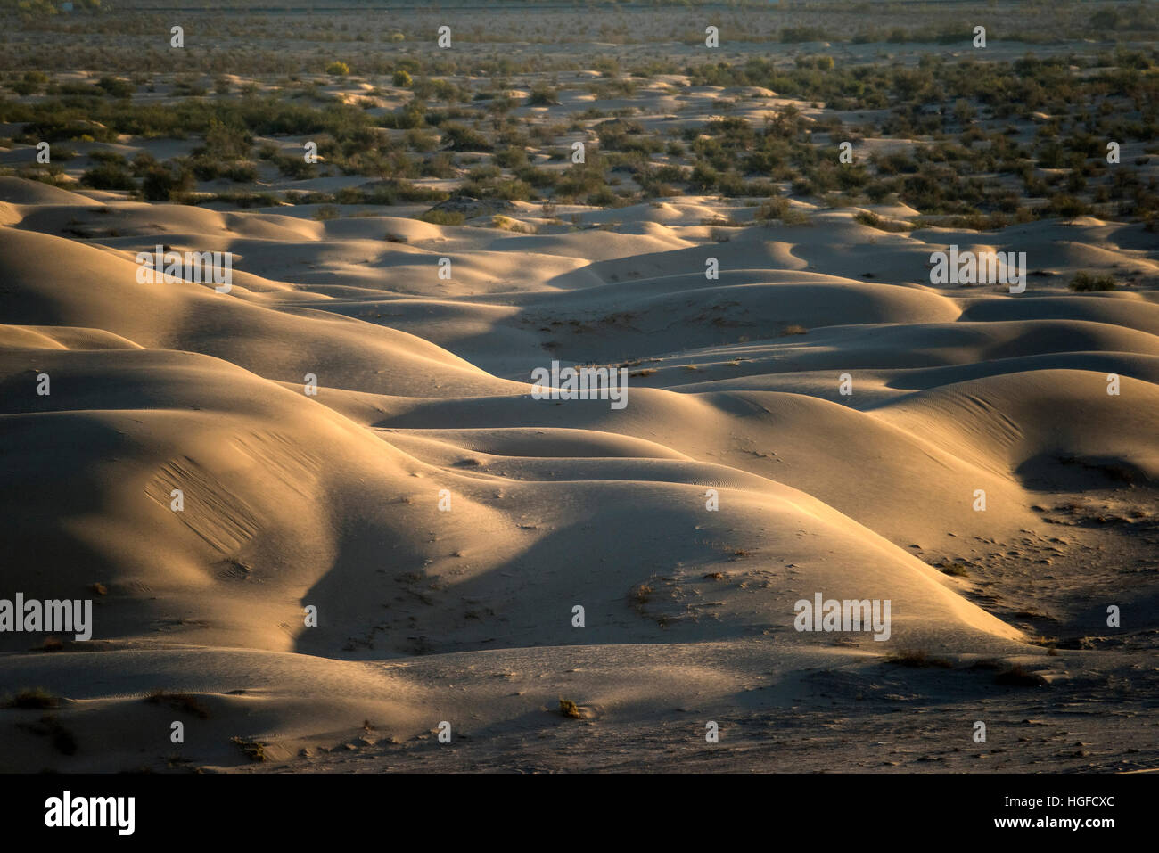 Imperial, algodones, dune di sabbia, California Foto Stock
