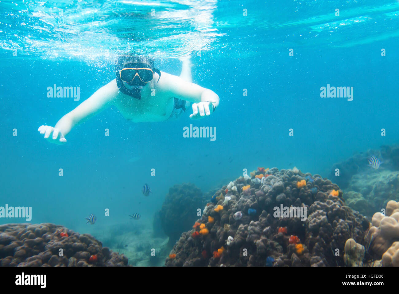 Snorkeling subacquea, active viaggi, snorkeler guardando i coralli e pesci in mare Foto Stock