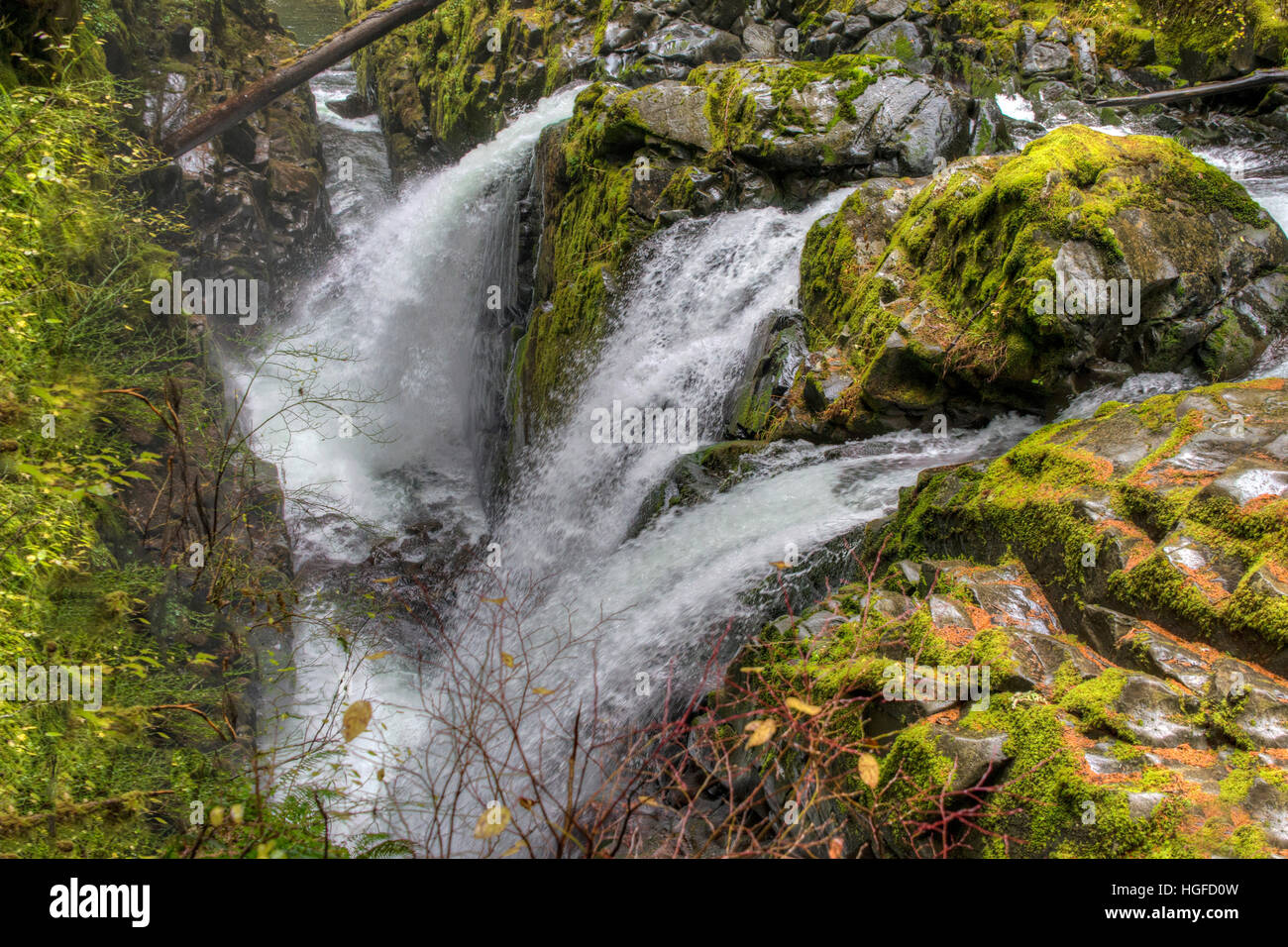 Sol duc falls, il parco nazionale di Olympic, WA Foto Stock