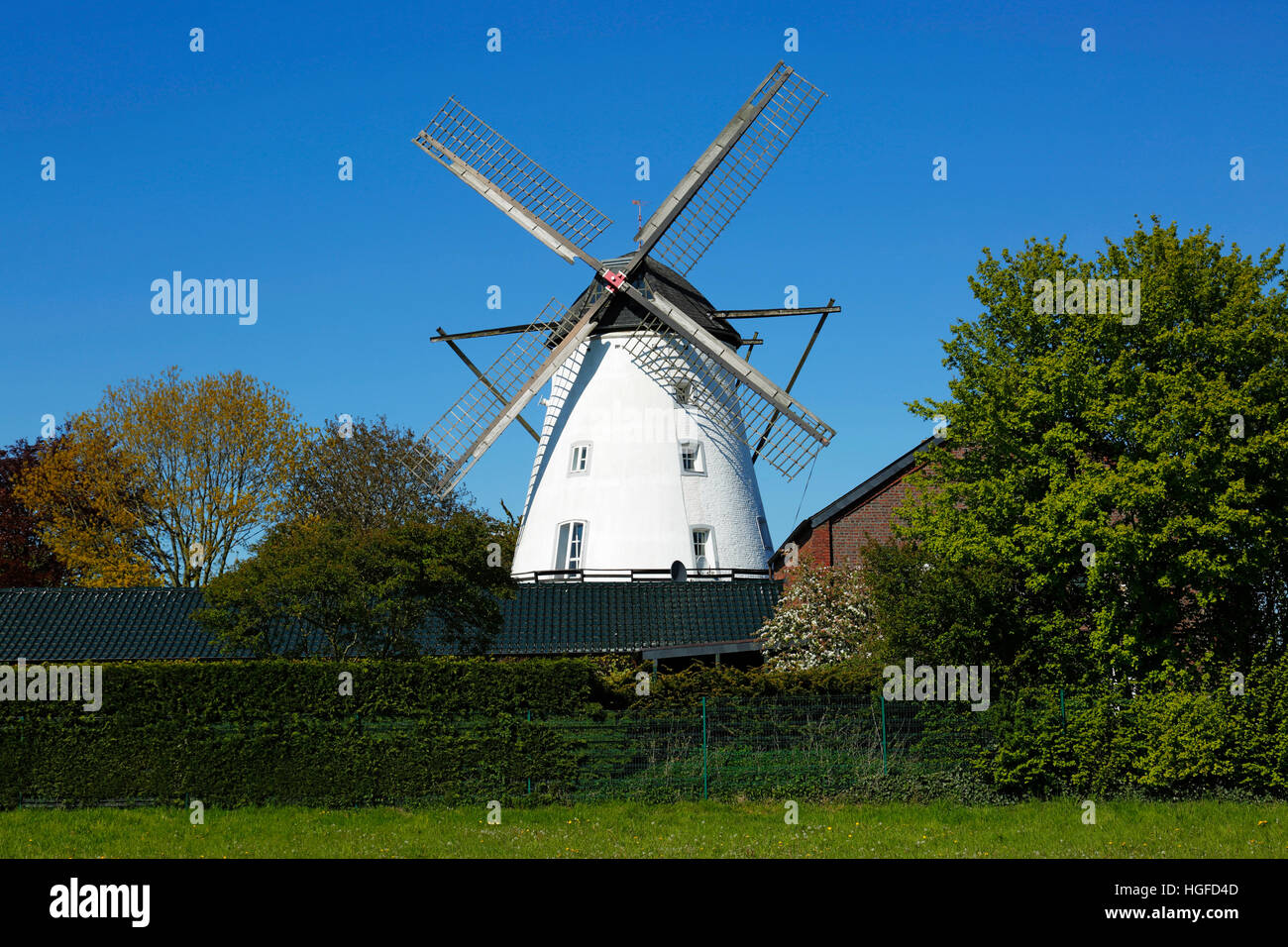 Schaager mulino in Nettetal-Schaag, Basso Reno, Renania settentrionale-Vestfalia Foto Stock