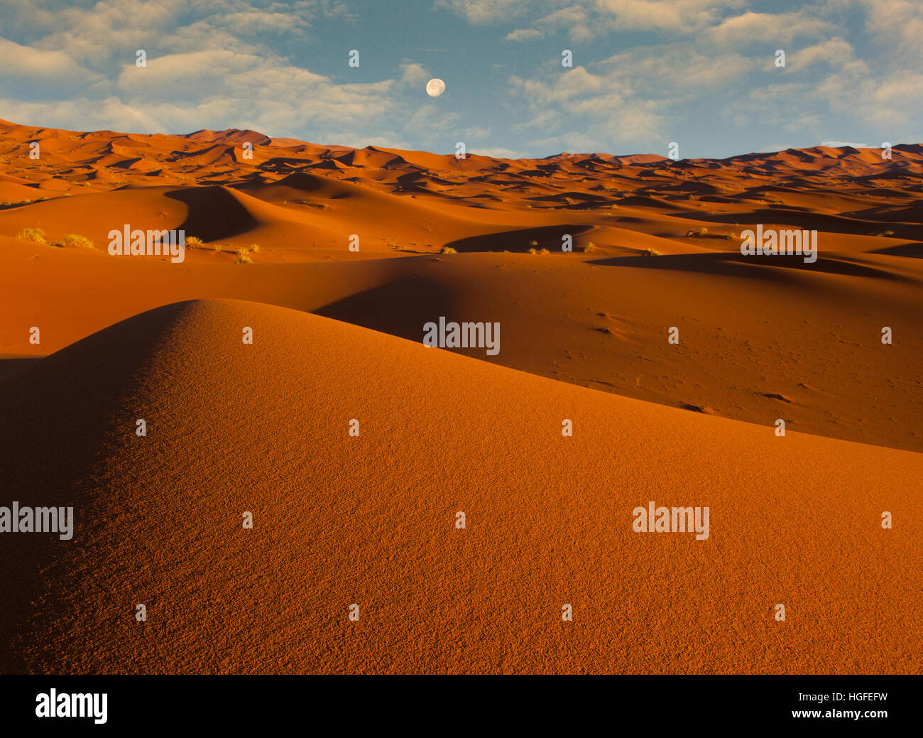 La mattina presto su Erg Chebbi dune del deserto del Sahara in Marocco Africa del Nord Marzo Foto Stock