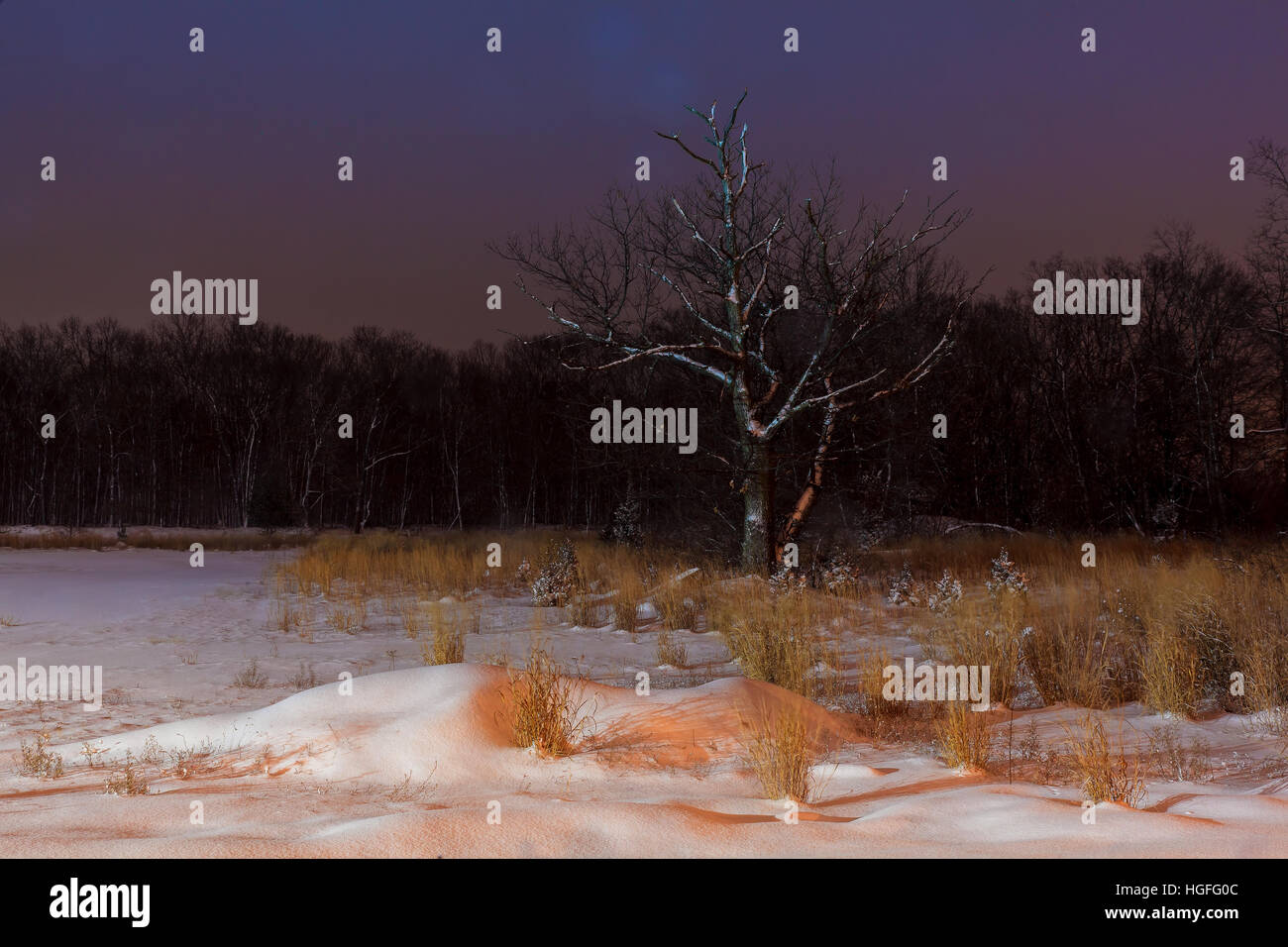 Paesaggio Innevato Con La Lanterna In Background Notte Invernale Di Neve Ancora Alberi Coperti Di Neve Foto Stock Alamy