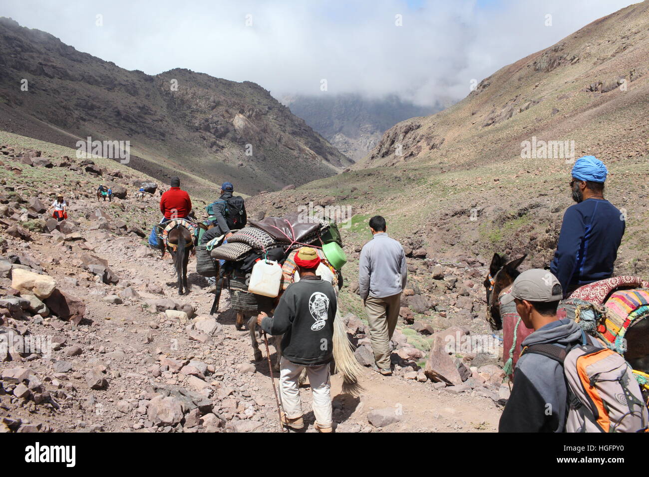 TransportTravelers ride muli sul monte Toubkal Foto Stock