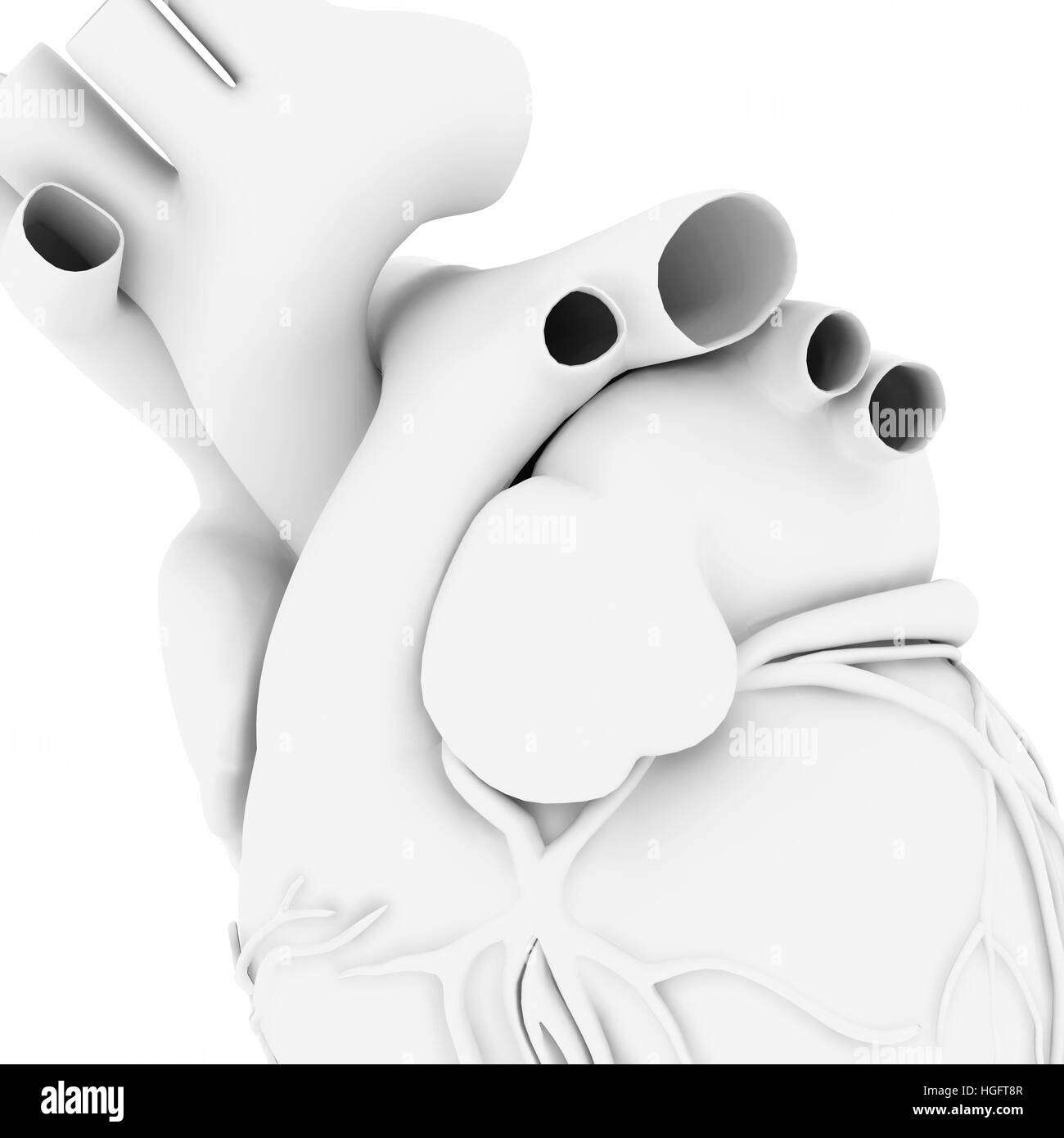 Bianco cuore umano isolato su sfondo bianco, 3d illustrazione Foto Stock