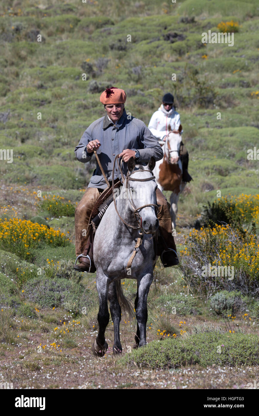 Gaucho guida turistica e a cavallo a Estancia Alta Vista, El Calafate, Parque Nacional Los Glaciares, Patagonia, Argentina, Sud America Foto Stock
