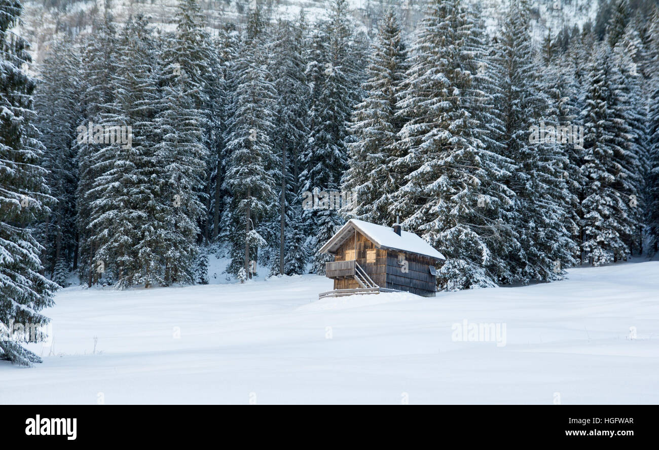 Casa in legno in foresta con tanta neve Foto Stock