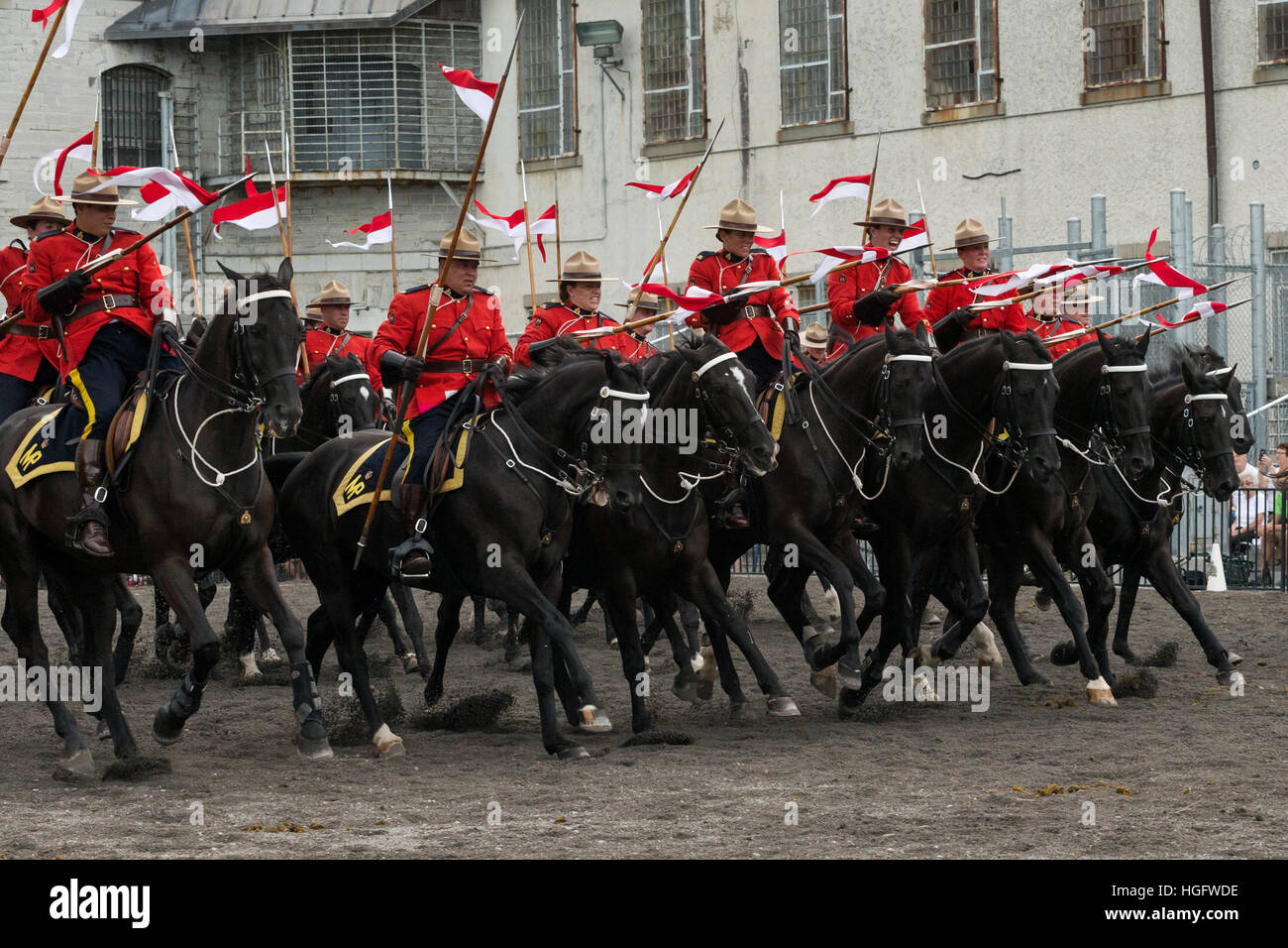 Canada American polizia montata Ontario horse rider Foto Stock