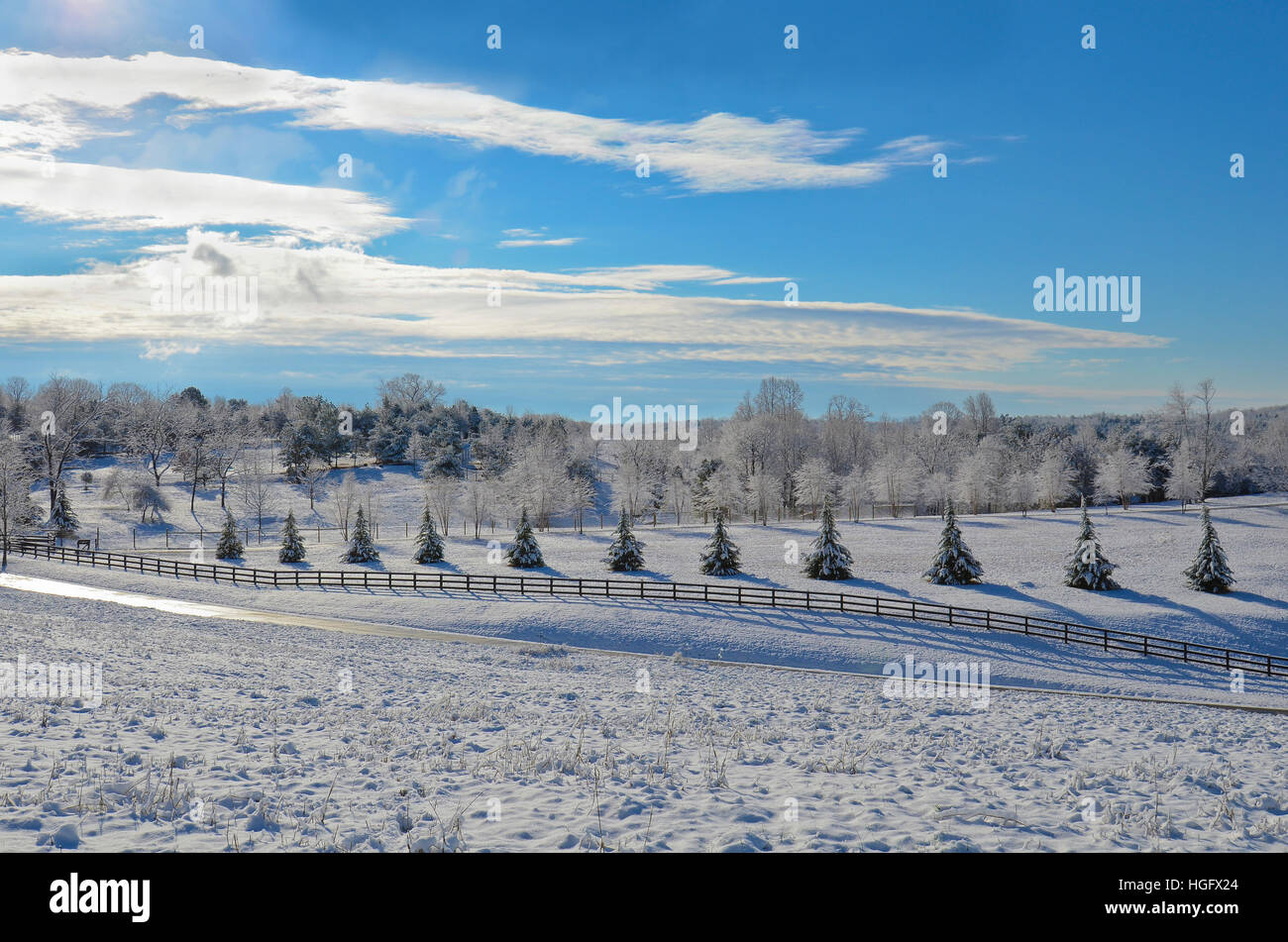 Un pascolo coperto con una neve fresca. Foto Stock