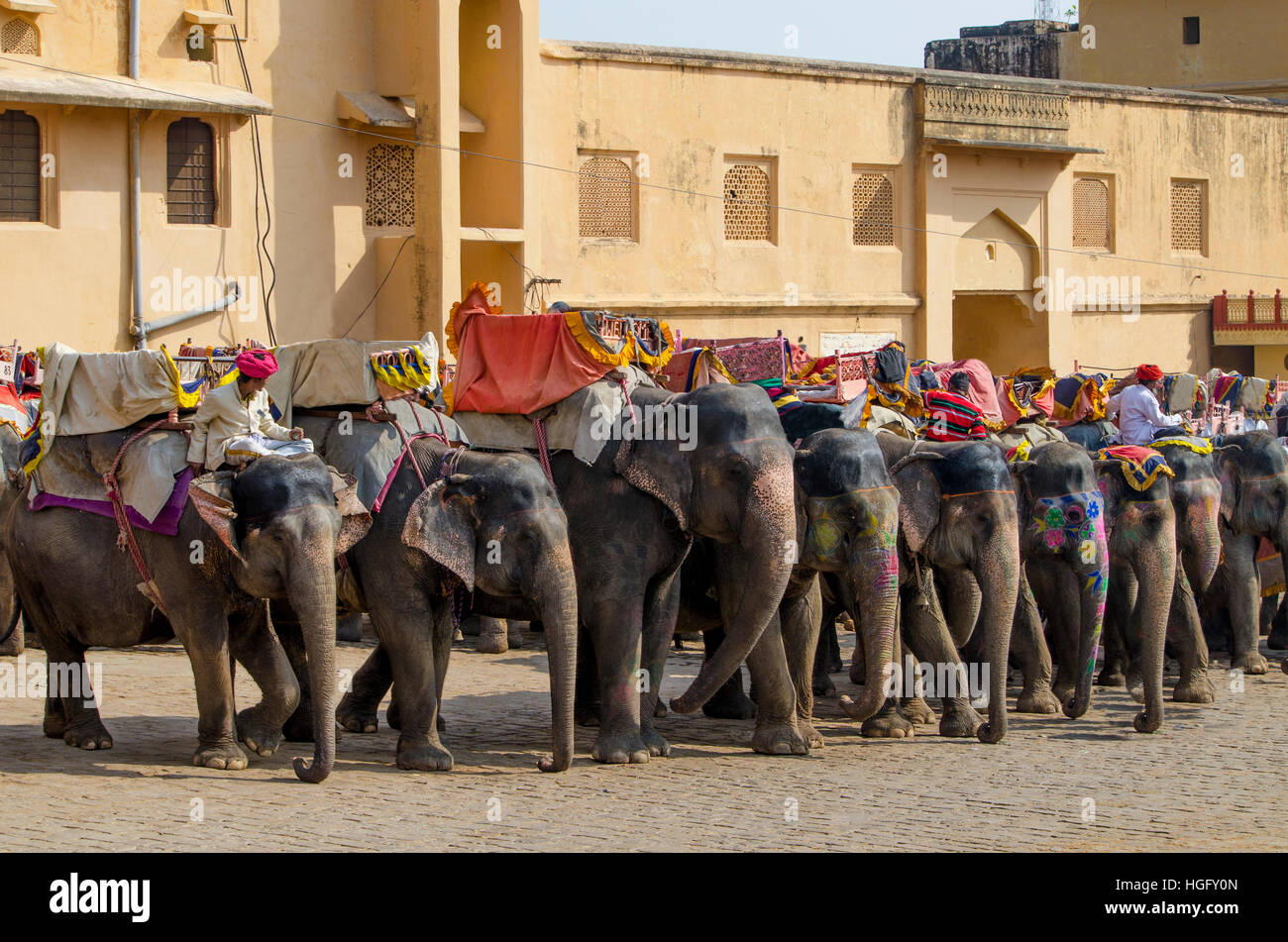 Il elefanti indiani a Amber forte in India,un paesaggio,vicinanze,giallo,l'india,jaipur a casa,l'edificio,l'architettura,elephant Foto Stock