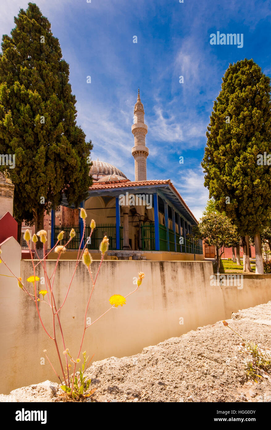 Un minareto fiancheggiato da due grandi alberi mentre in primo piano un fiore giallo contrasta l'altezza degli alberi e il minareto Foto Stock