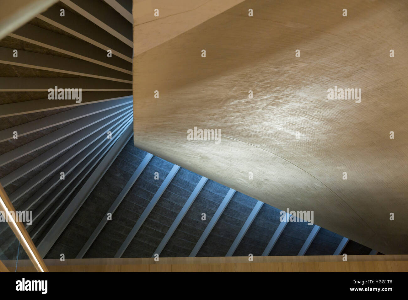 Il soffitto. Design Museum. Dic, 2016. Londra, Regno Unito Foto Stock