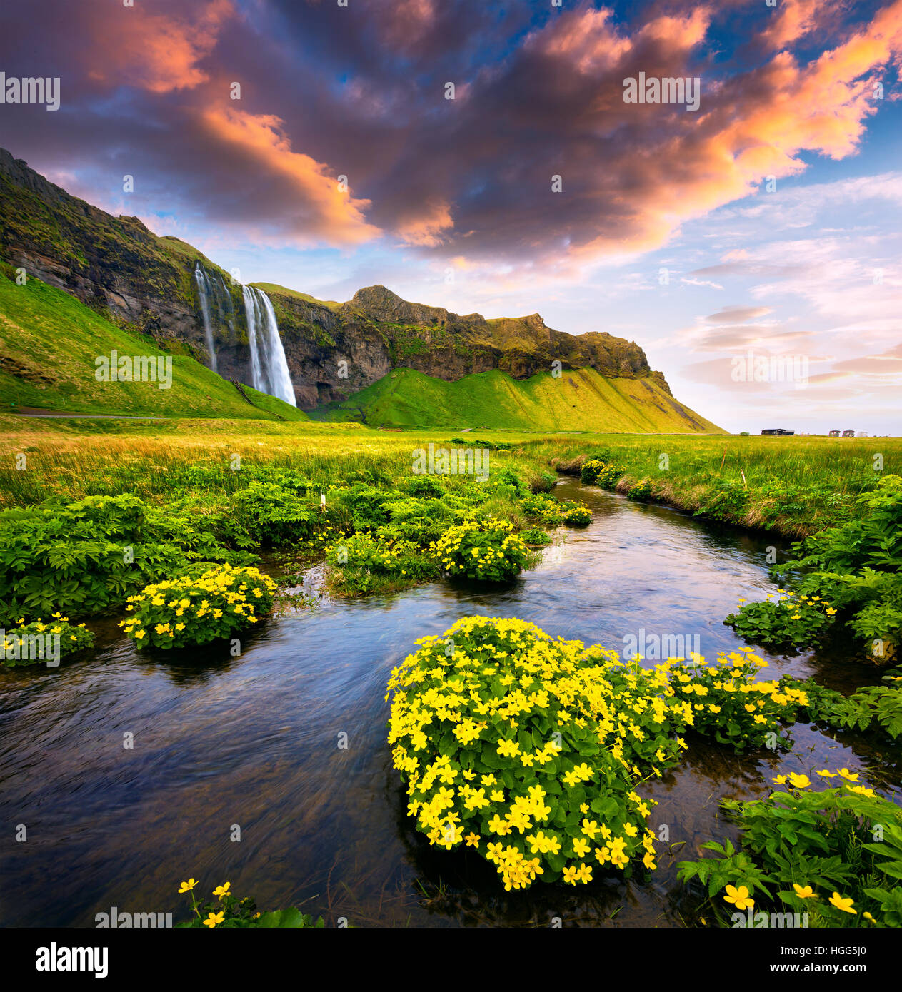 Vista la mattina della cascata Seljalandfoss sul fiume Seljalandsa in estate. Sunrise colorati in Islanda, l'Europa. Foto Stock