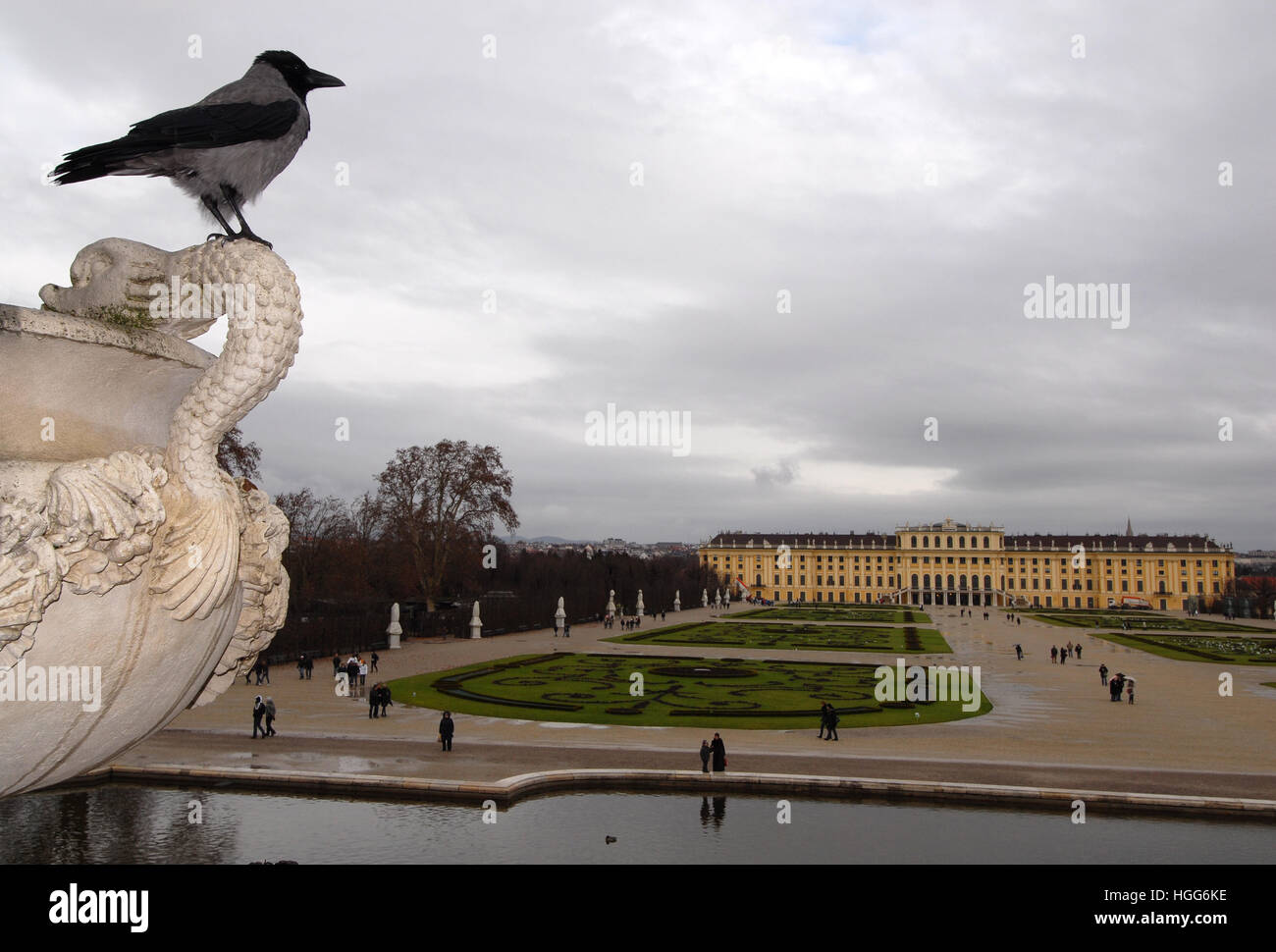 Cornacchia mantellata (Corvus cornix) e il castello di Schönbrunn, Vienna, Austria Foto Stock