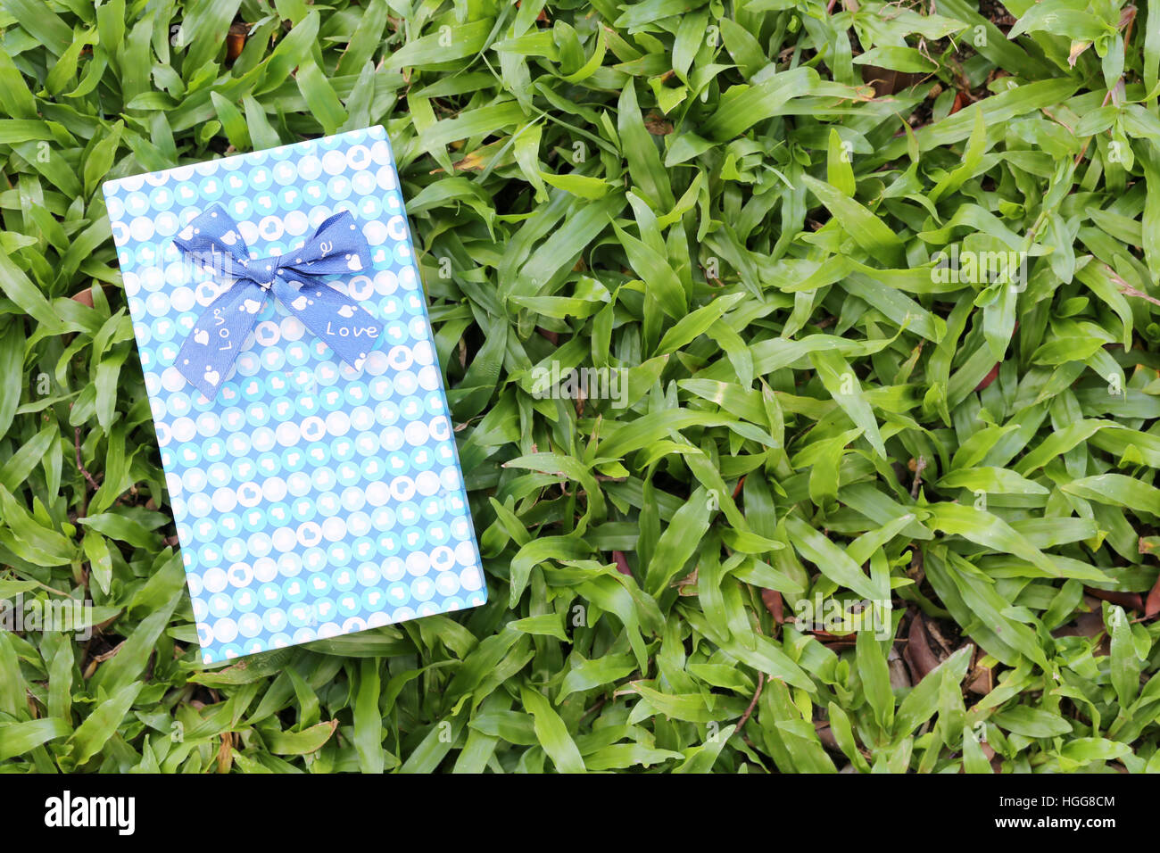 Blue box Regalo sul prato verde,Festival del concetto di dono e di Natale o di Capodanno. Foto Stock