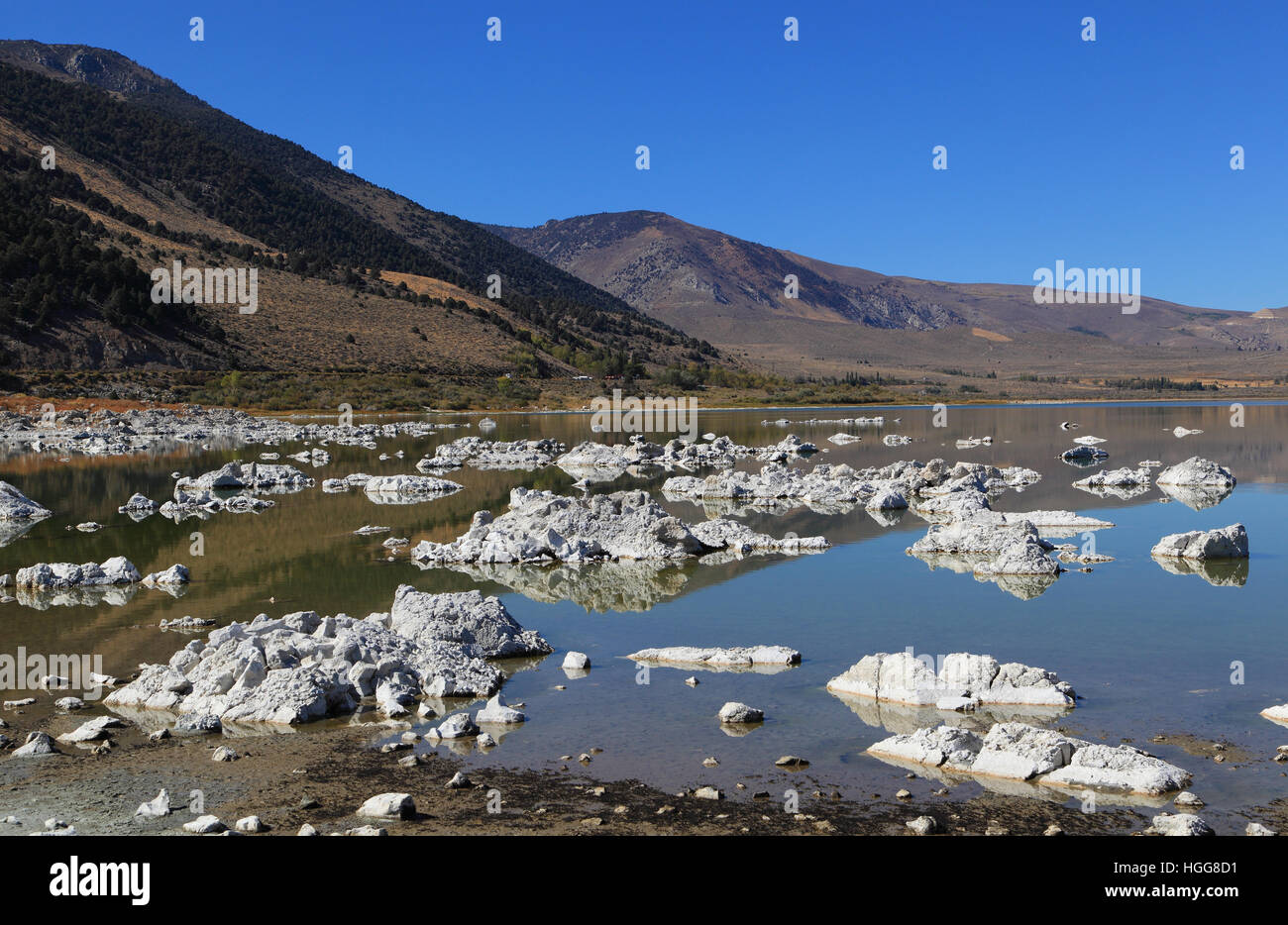 Al Lago Mono in California la Sierra orientale, strutture rocciose chiamato "tufo' formano quando minerali precipitato dall'acqua alcalina. Foto Stock