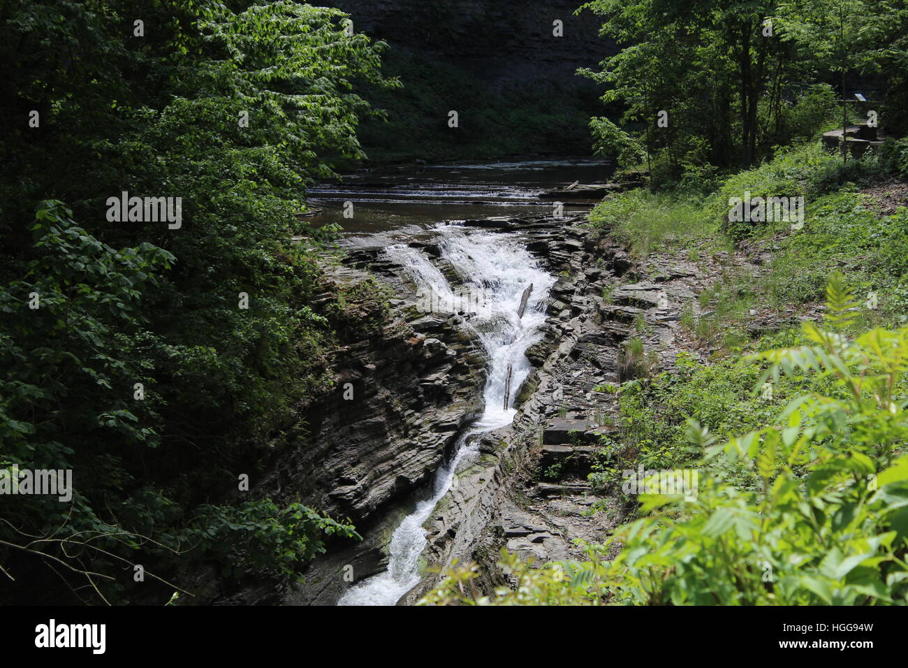 La cascata nel bosco Foto Stock