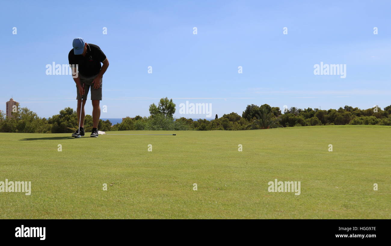 Un golfista linee fino un colpo sul putting green Foto Stock