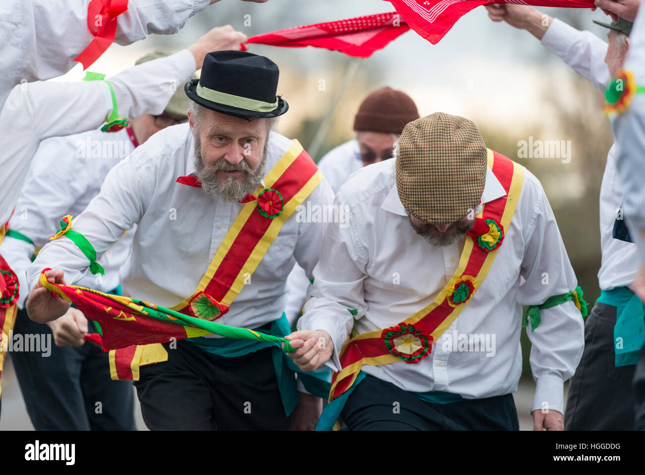 Comberton Cambridge Regno Unito 9 gennaio 2017. Il Cambridge Morris uomini eseguono una danza di Molly in strada per festeggiare aratro lunedì, il tradizionale inizio di nuovo anno agricolo il primo lunedì dopo l Epifania, il dodicesimo giorno del Natale. Questa è una tradizione popolare in East Anglia. Oggi il Gruppo ha effettuato presso le scuole e si uniranno altri ballerini per continuare le celebrazioni nel pub locale. Credito Eales Julian/Alamy Live News Foto Stock