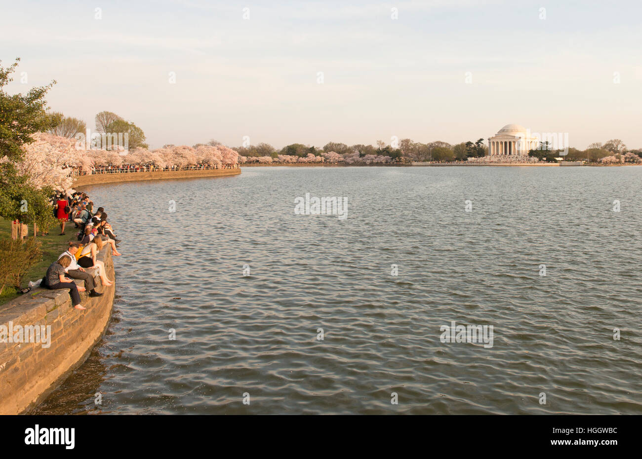 I turisti siedono lungo il bordo del bacino di marea durante il picco di fioritura dei ciliegi alberi a Washington D.C.. Foto Stock