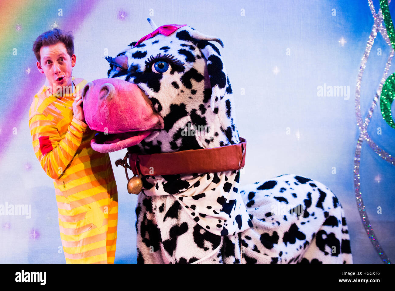 Un tradizionale pantomima mucca in un dilettante AmDram Theatre Company dress ripassando la pantomima Jack e il Beanstalk sul palco a Aberystwyth Arts Center, Wales UK Foto Stock