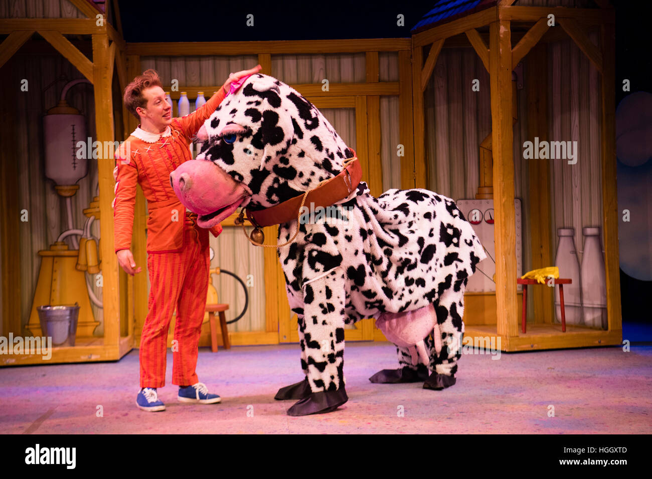 Un tradizionale pantomima mucca in un dilettante AmDram Theatre Company dress ripassando la pantomima Jack e il Beanstalk sul palco a Aberystwyth Arts Center, Wales UK Foto Stock