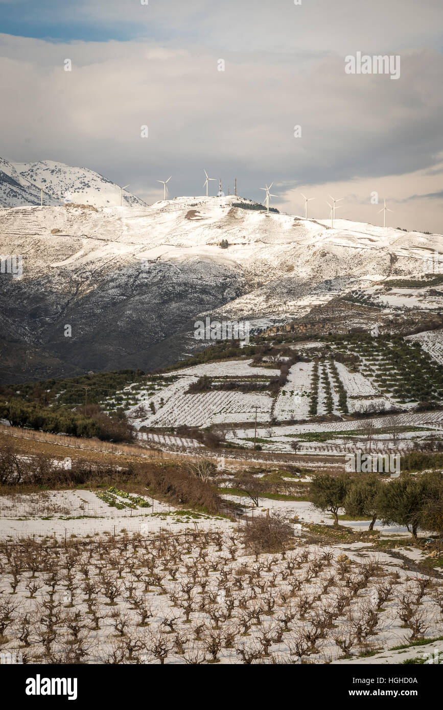 Cretan paesaggio terrestre durante il periodo invernale Foto Stock