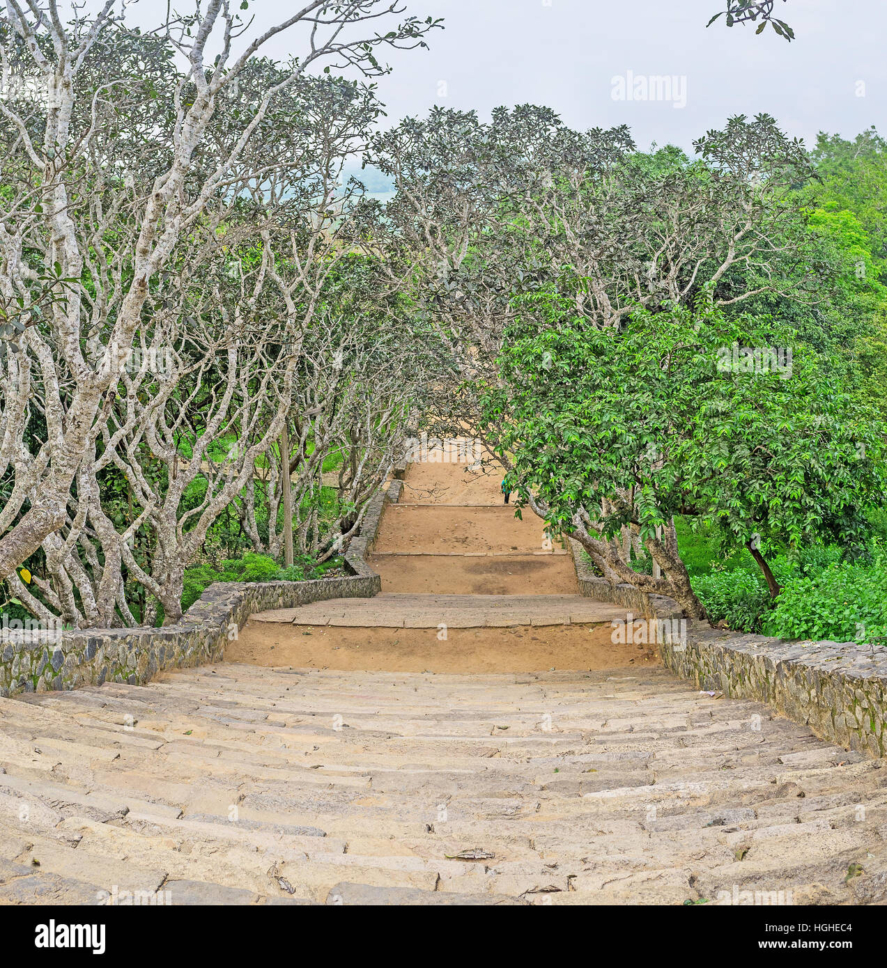 La lunga scalinata dal Tempio Mihintale al piede della montagna e circondato da lussureggianti giardini, Sri Lanka. Foto Stock