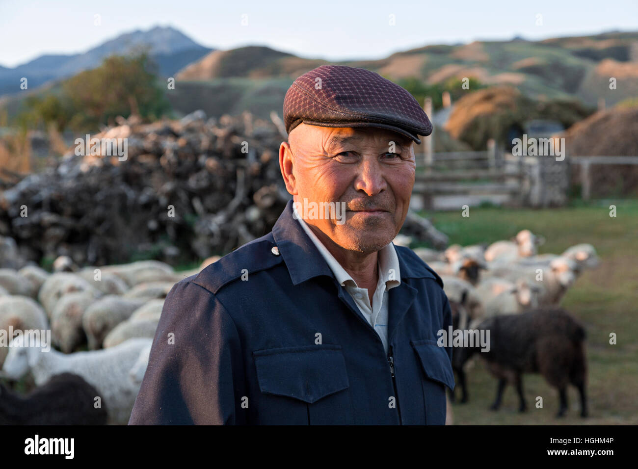 Il kazako l uomo con il suo gregge di pecore nel villaggio di soggiornare in Kazakhstan. Foto Stock