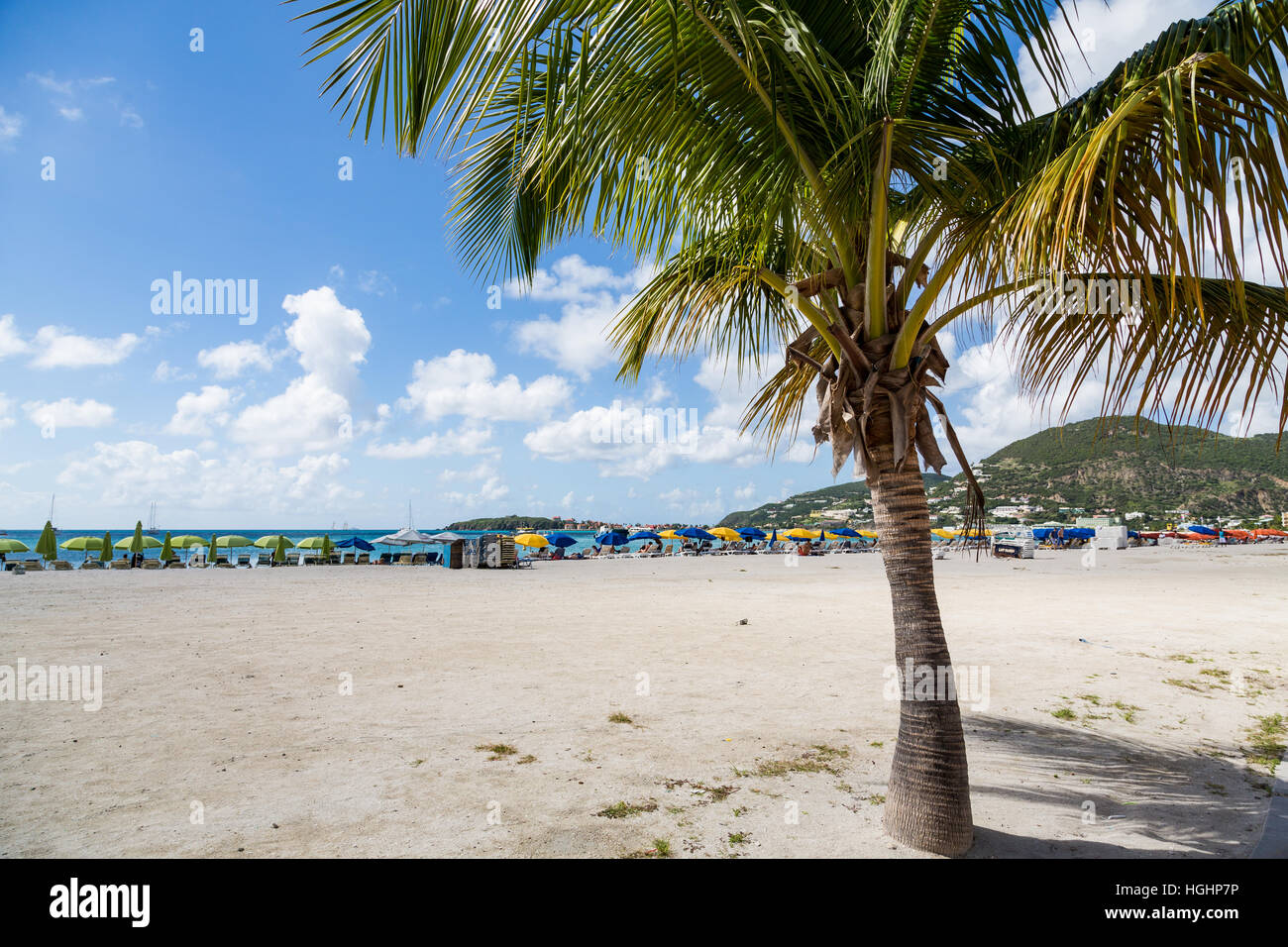 Paradise e il Palm Tree su St Maarten Foto Stock