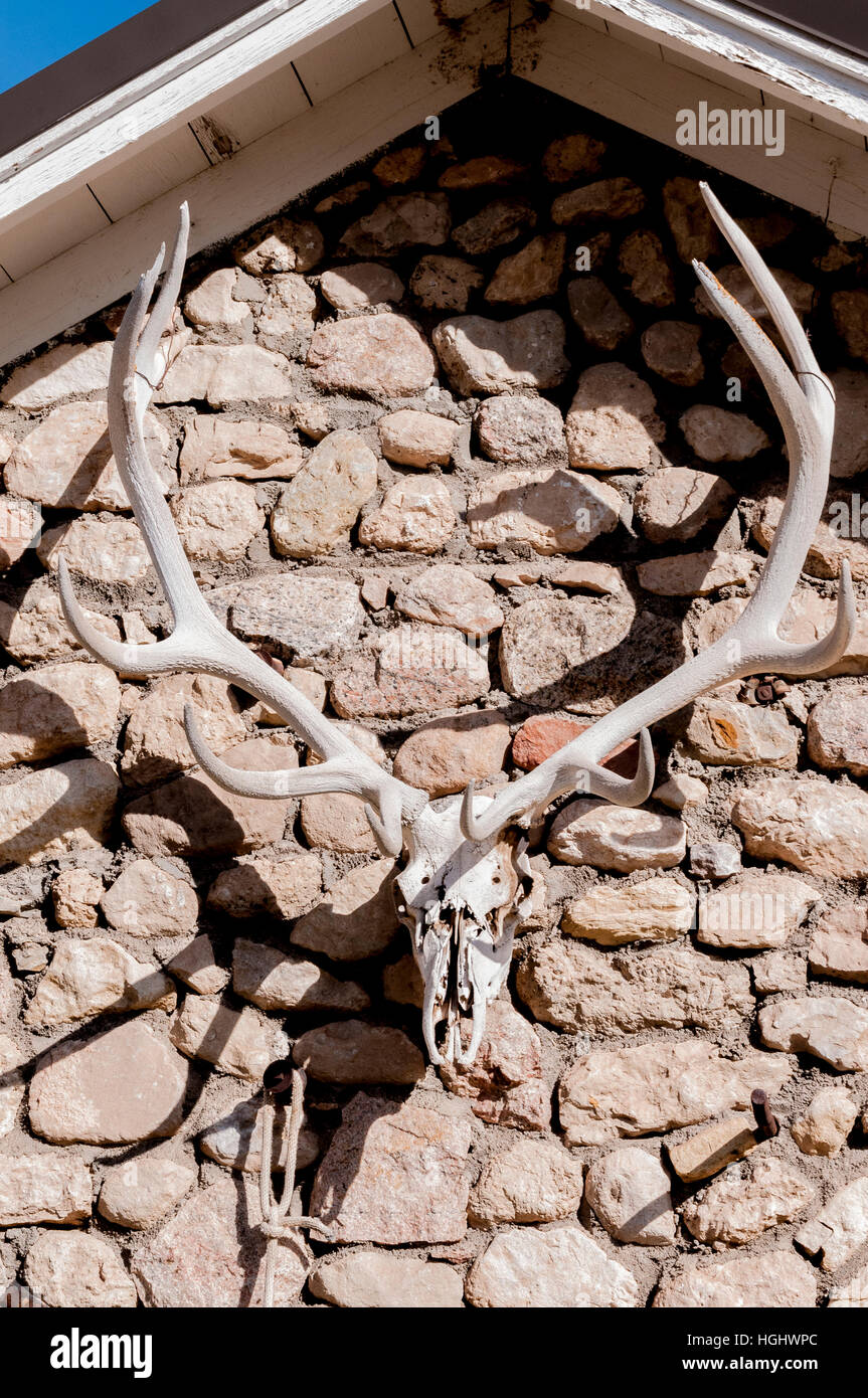 Stati Uniti d'America, Wyoming Wolf, Eaton Ranch dettagli circa il fienile Foto Stock