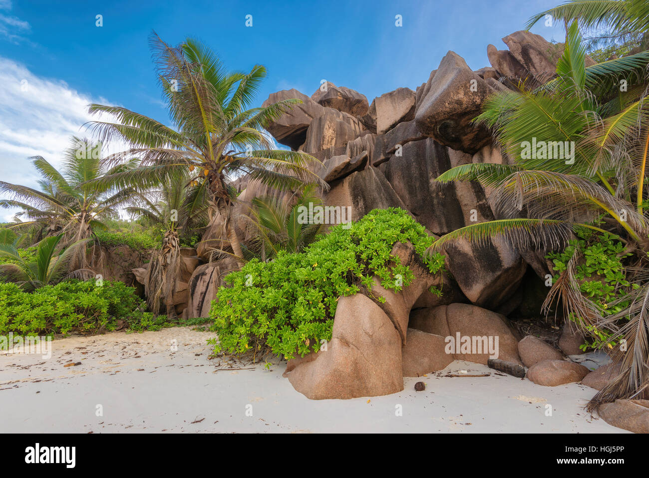 Rocce di granito e palme da La Digue Island, Seicelle Foto Stock