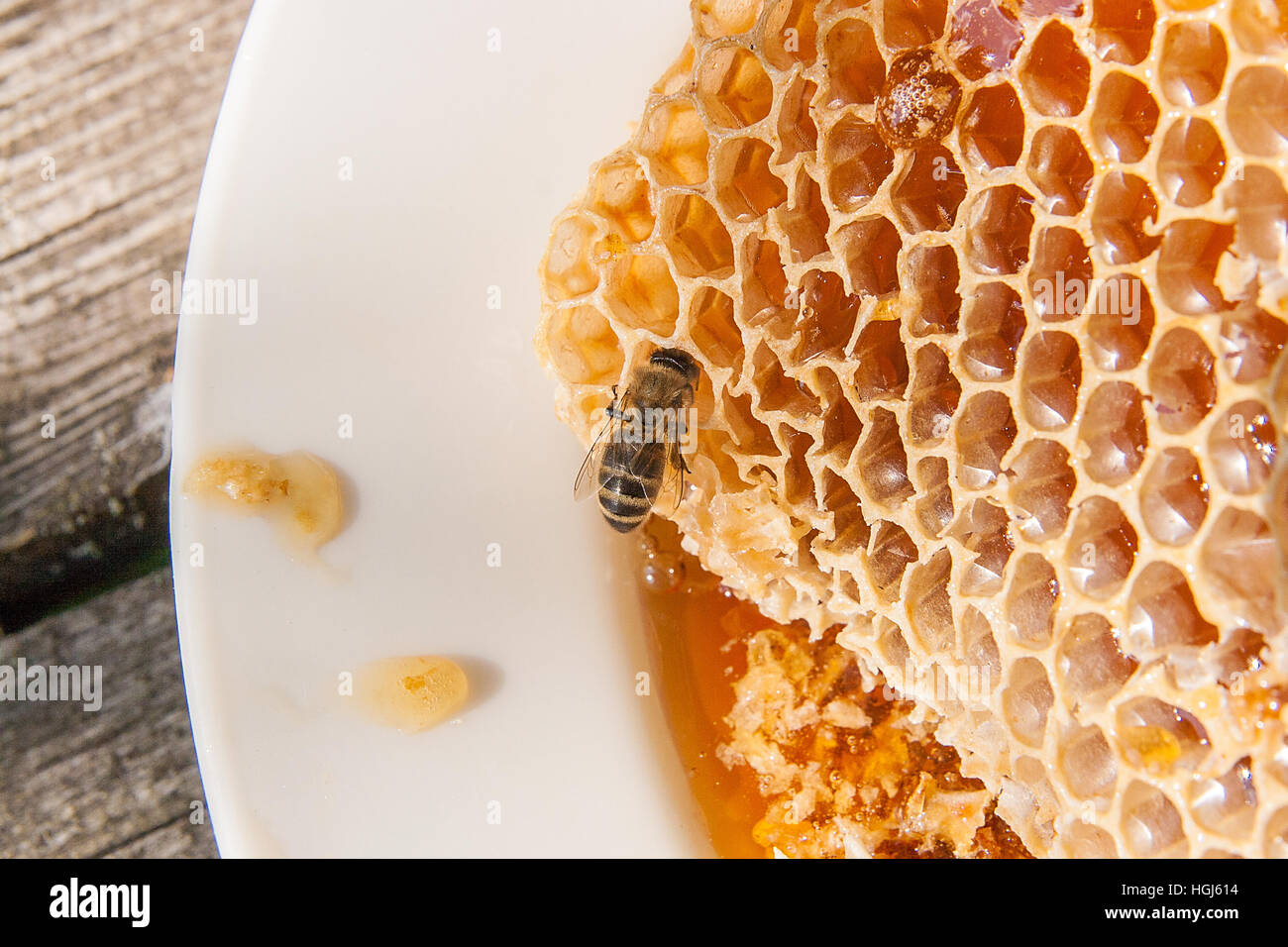 Vista ravvicinata della lavorazione bee sul nido con il dolce miele. Piastra bianca con la sezione di cera Favo di miele da alveare su legno vintage Foto Stock