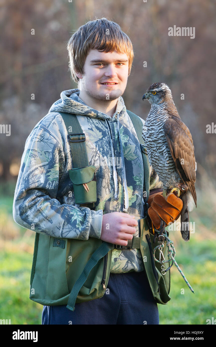 Un giovane falconer in campagna con il suo rapace, un maschio di astore. Regno Unito. Foto Stock