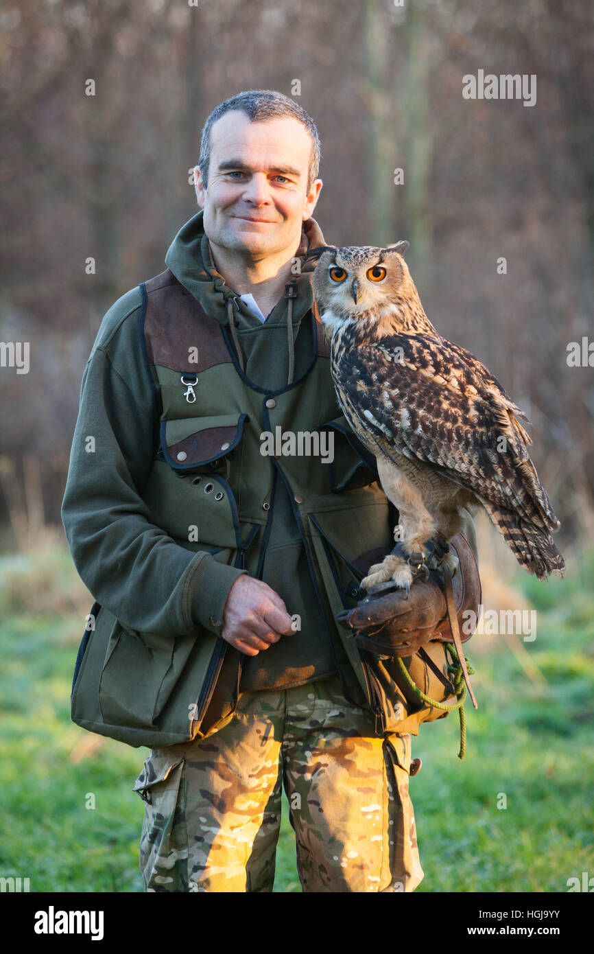 Un falconer in campagna con il suo uccello da preda, un gufo reale. Regno Unito. Foto Stock