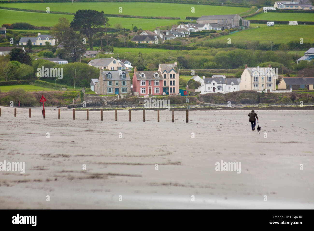 Newport Sands Beach ospita a Parrog, all'estremità meridionale di Newport Beach, nel Pembrokeshire Coast National Park, Galles UK, a maggio Foto Stock