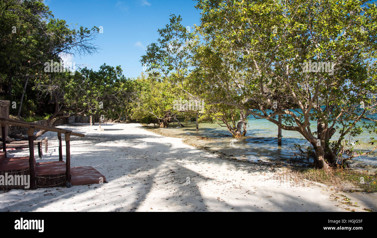 Sulla spiaggia di Isola di mafia, Tamzania Foto Stock